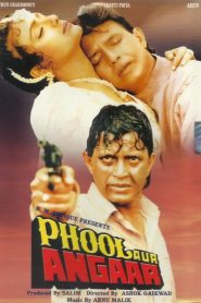 Phool Aur Angaar (1993) Bollywood