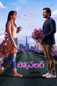 Most Eligible Bachelor (2021) Dual Audio Movies