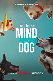 Inside the Mind of a Dog (2024) Hollywood Dual Audio