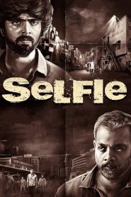 Selfie (2022) Bollywood