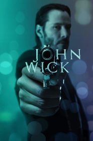 John Wick (2014) Hollywood (Hindi & English)