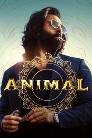 Animal (2023) Bollywood